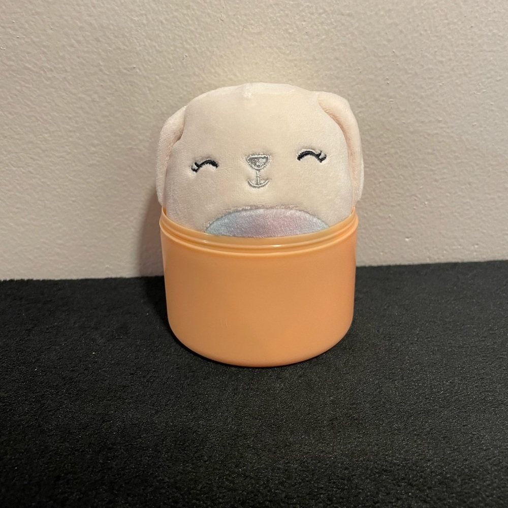 BNWT Squishmallows Robyne the Bunny Capsule 4in